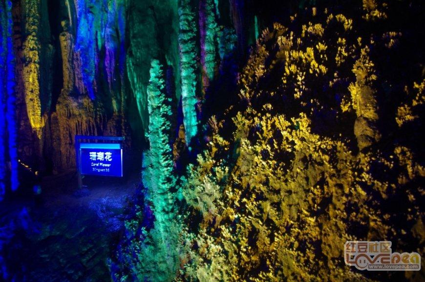虫虫助手下载