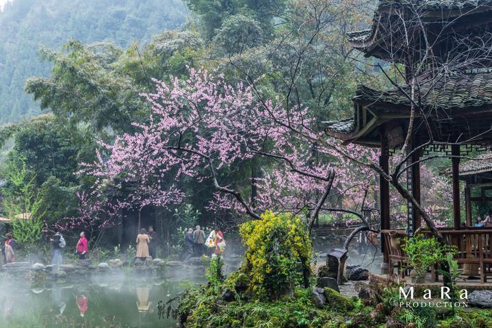 探索山中小屋